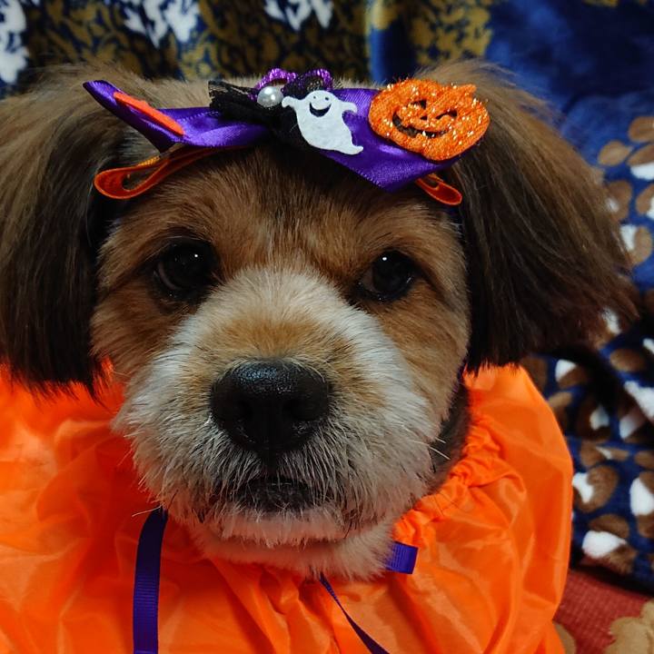 Cdf87caf c947 4246 b79c 183e9987a9cd 1570964690714