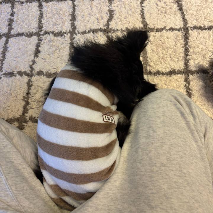 Cdf87f37 89ba 4400 b3e9 9f342f4fe4f9 1743955413850