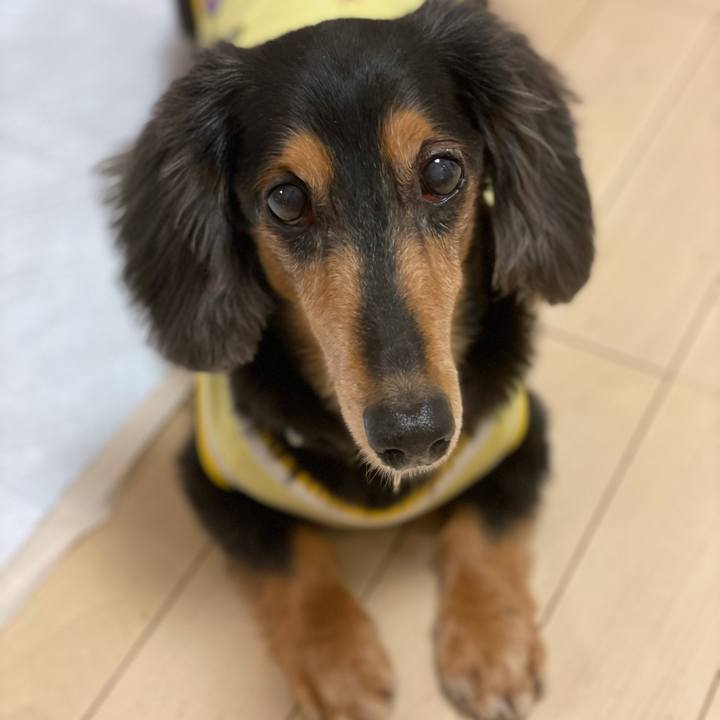 Cdf8a97b c6bc 4afa b215 e735f3af8be4 1631448995428