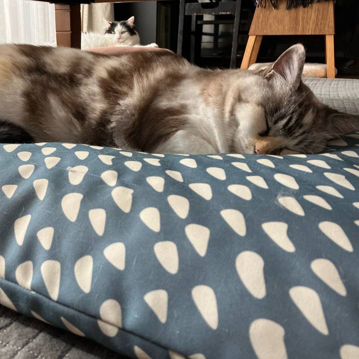 Cdf8b98b b831 485a b71e 7babbe51496c 1762218643409