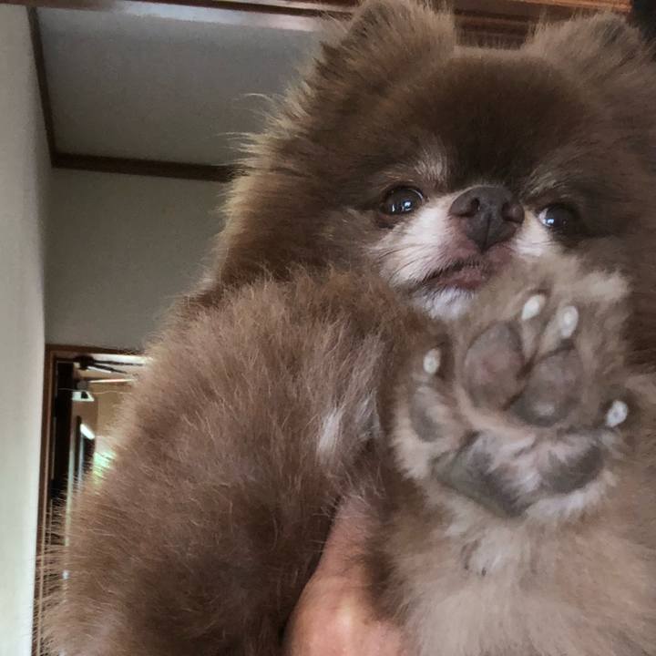 Cdf8edc6 95da 4708 9a06 dda69826892d 1533255014382