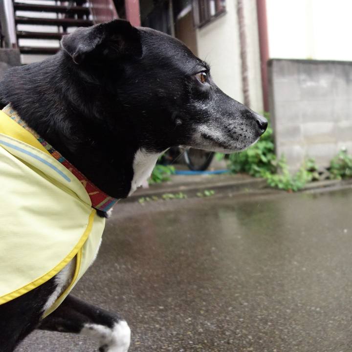 Cdf8f8f1 f81b 40f9 853f 429e471d73e7 1747439149022