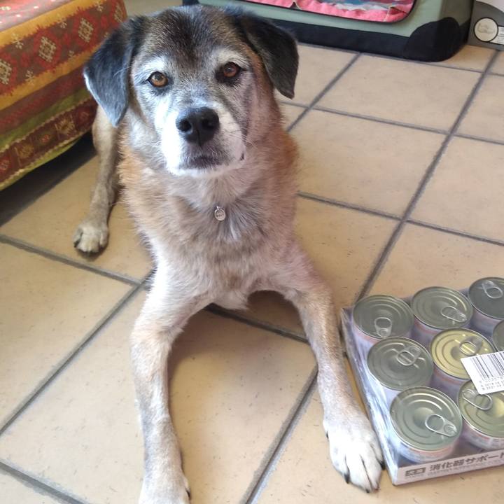 Cdf92604 04d9 4f74 946c 3ba607197aa4 1572415100996