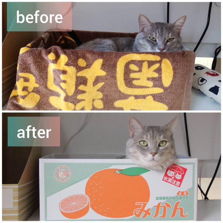 Cdf93831 2da0 46f3 af4b ddbd9ff05aa0 1591674976586