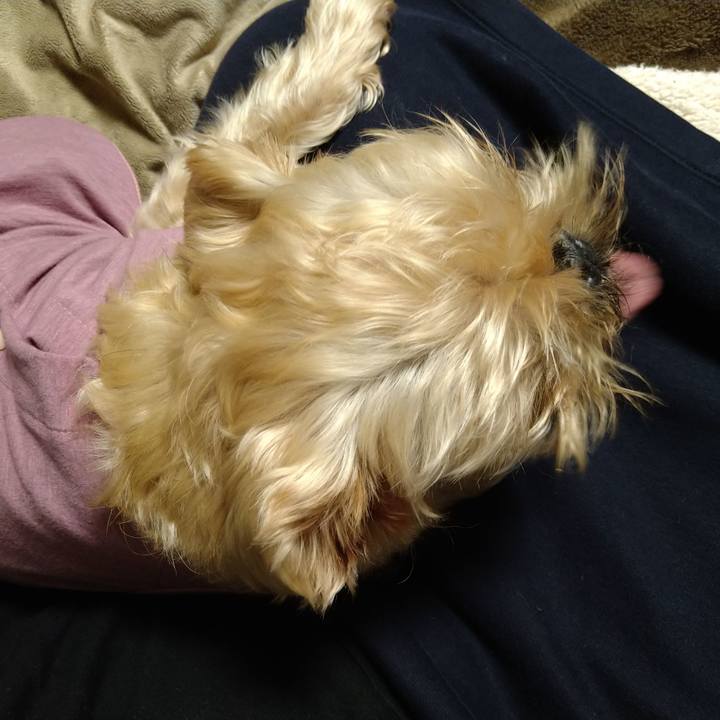 Cdf9553e 26b9 42b4 8d8a 10bc57c13c19 1636417861213