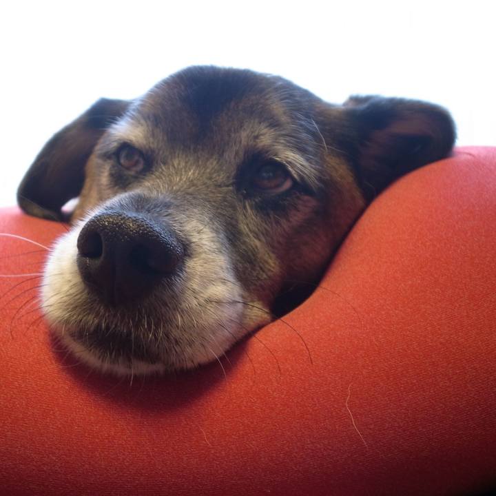 Cdf98b69 0eb9 461f a970 971f636ed1a6 1705443485330