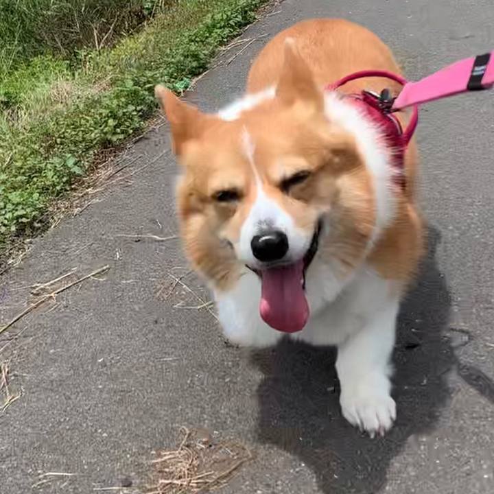 Cdf99fd4 b0d4 4140 a964 60f9c57a37a6 1654746847779