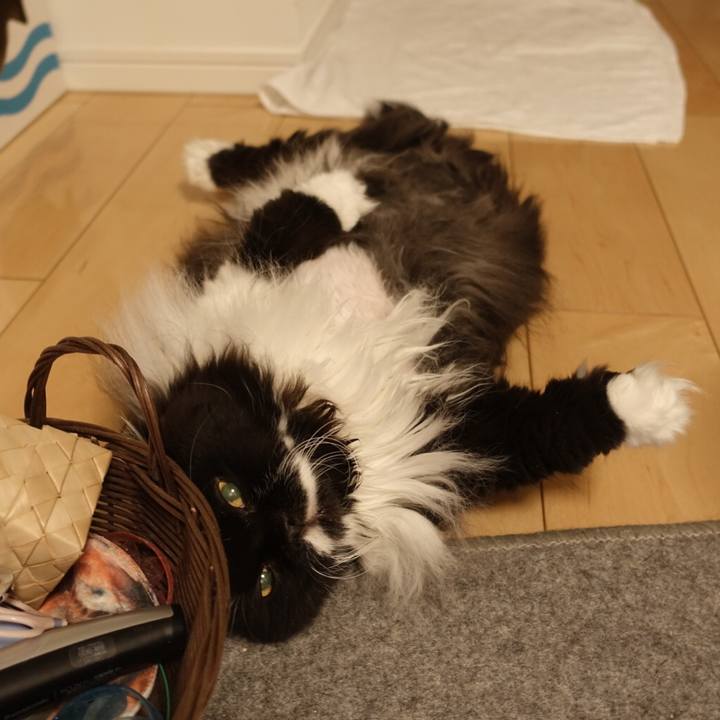 Cdf9a87c 68f5 42c7 a779 019b4f330aa5 1526951644997