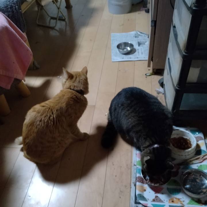 Cdf9cb29 bf55 4675 939f 364681a1f2d9 1667217694306