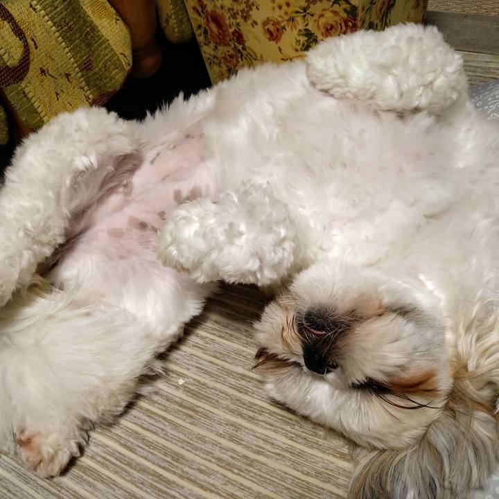 Cdfa1c24 ec09 4a38 8c78 0d9897c66ecb 1626265526058