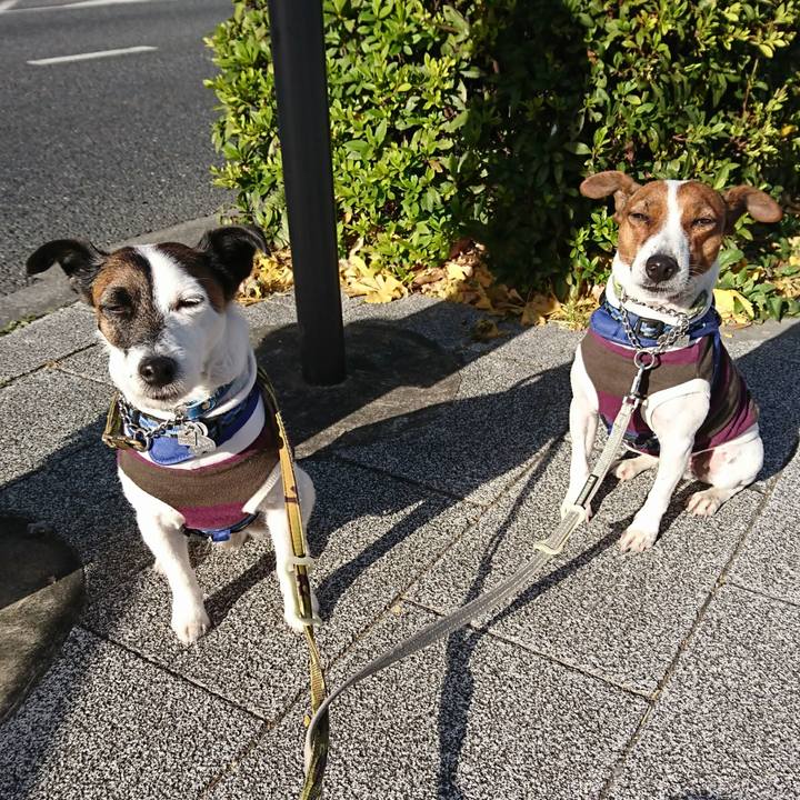 Cdfa2858 906a 47b6 a386 605af775be62 1608337668854