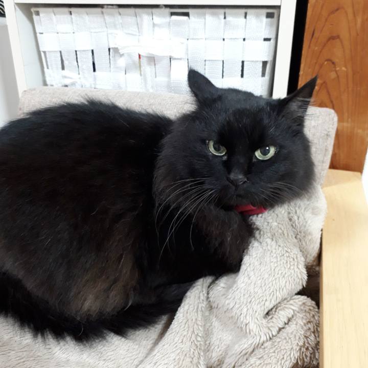 Cdfa2a57 2683 40f3 8f91 271e59cef8db 1519850154107