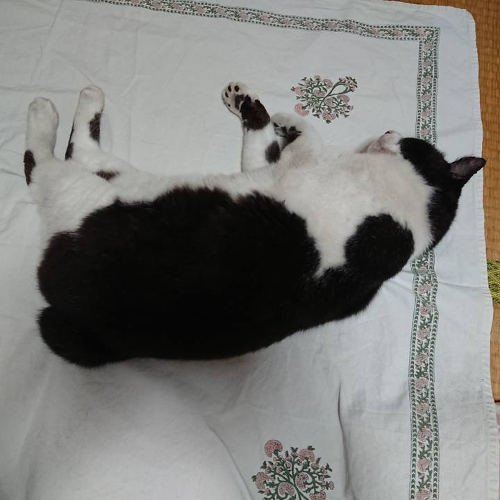 Cdfa396f 9084 47ae 869d b1722f466ae6 1657017600851