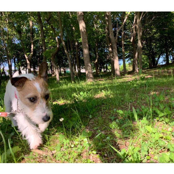 Cdfa54bb dd7a 4dfd ad94 a4650232206b 1588834485752