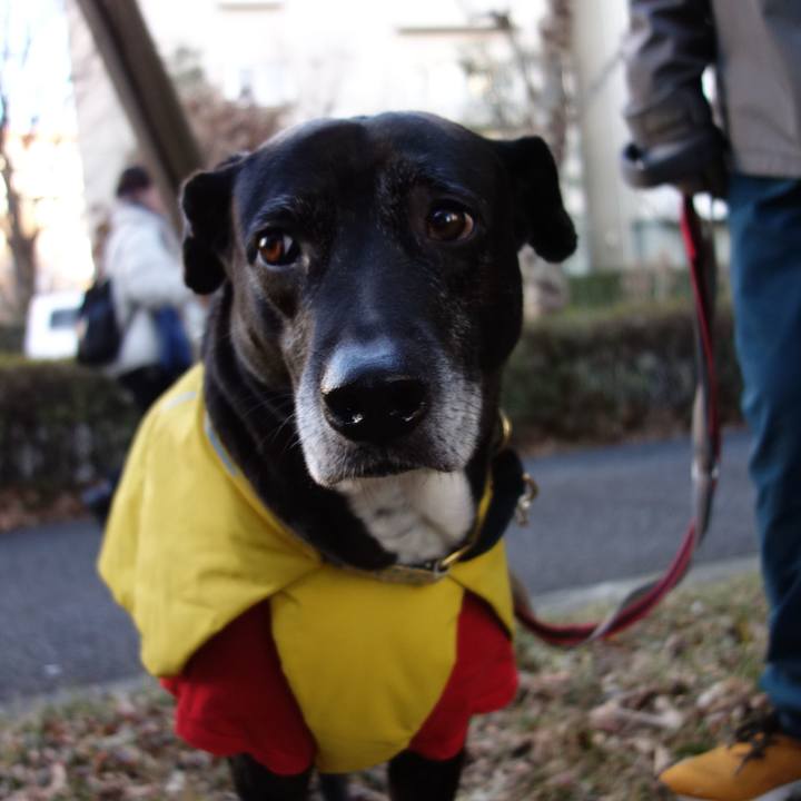 Cdfa70d6 113a 4fdc 96f2 cc36cb19ab28 1740011955326