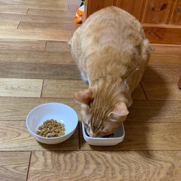 Cdfa82d9 b0af 4ec4 b3fc c5424700219d 1557372503620