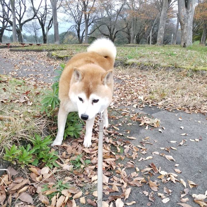 Cdfa9153 4930 4c5a 8912 8c0c8b048531 1635837606615