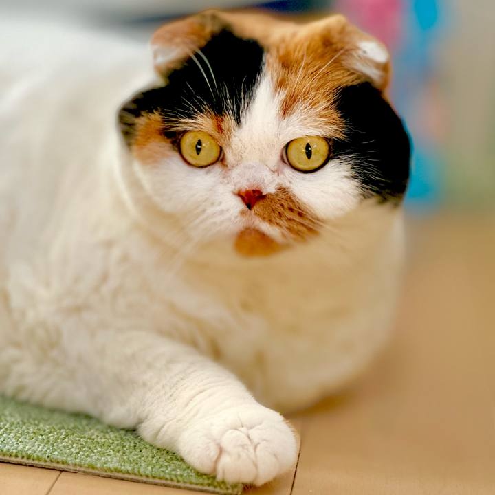 Cdfa92a9 2653 48f4 990e 42f95385d06d 1701212518819