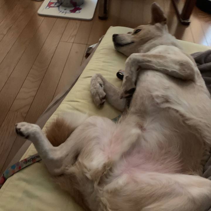 Cdfa967a a762 4141 8cdc 14dd08fc8204 1555977282382