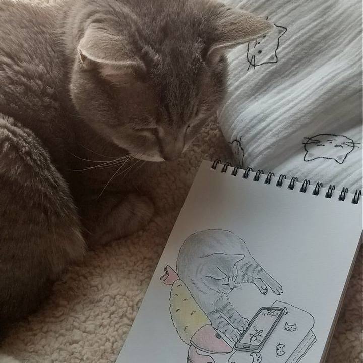 Cdfa9b84 9afe 4b5c 846c 995f32dd12c1 1677384494272