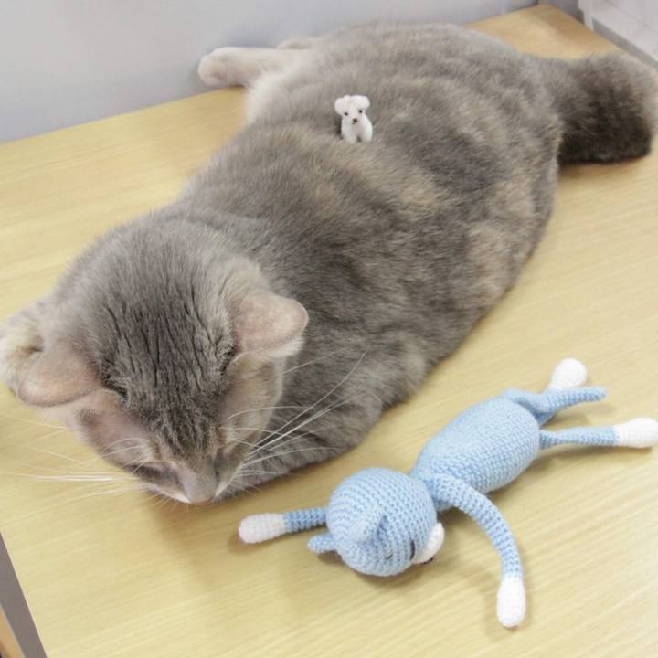 Cdfa9c35 0ead 4ac4 af6c c2cb70b9d36c 1576822575862