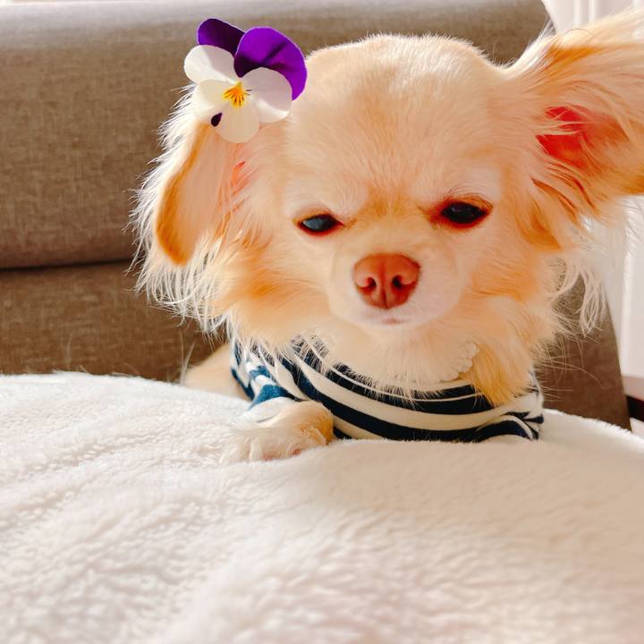 Cdfaa97c f577 437d 9f20 46e9aecae6c7 1648548392661