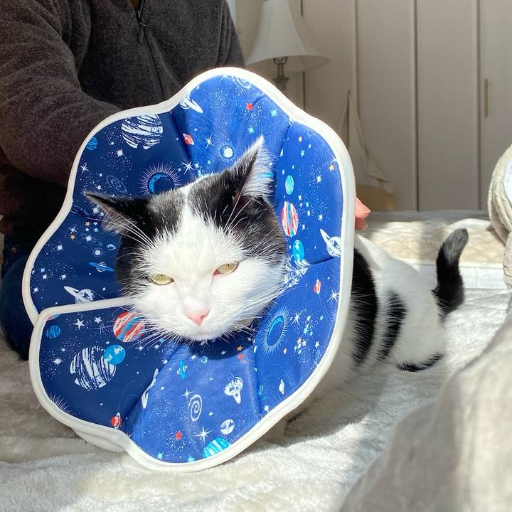 Cdfab6b8 4de3 4591 a62a 2ea18d3c2997 1764112950909