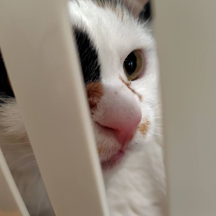 Cdfae726 68d1 442b b4d8 315e6d13865e 1733189729446