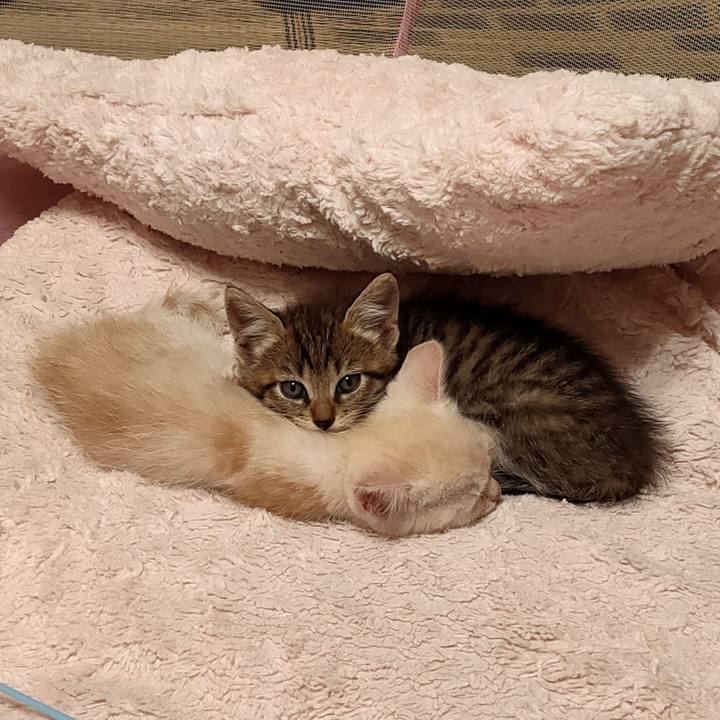 Cdfb076a a35b 4650 af3b d14c10aff381 1692573584085