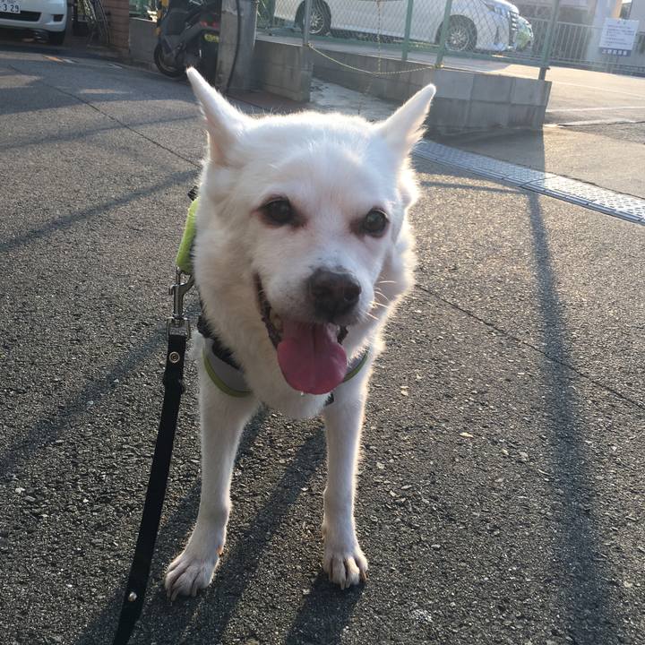 Cdfb151f 71ab 4207 aae7 43e6bb94cfeb 1533600177748