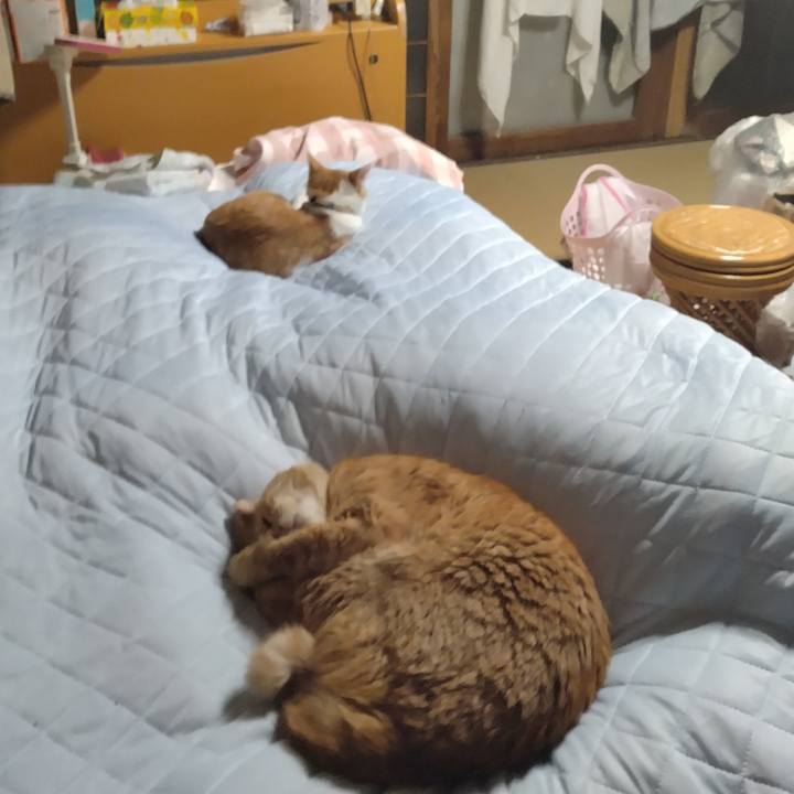 Cdfb1ef0 877b 4860 bd02 d492d4630572 1732188167045