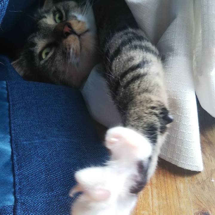 Cdfb86dc 70fd 42bd 964a ca7203d27ef1 1602586951412