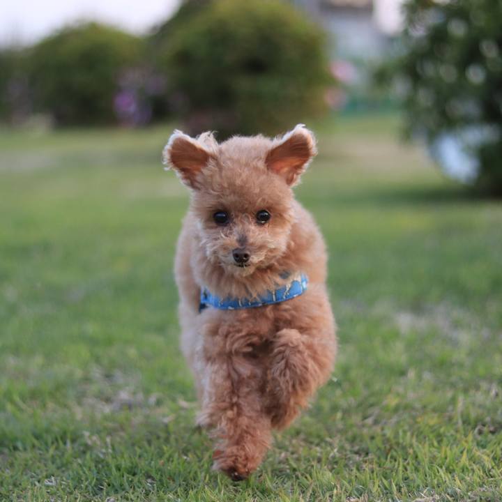 Cdfbb64e 1783 4e35 b782 50bbe4637087 1618066972561