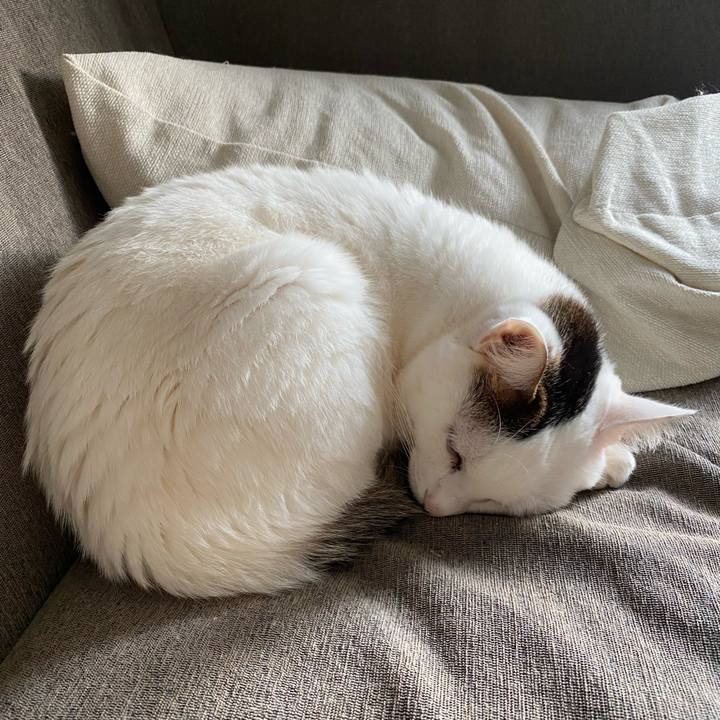 Cdfbc2fa 31cb 42ad bdbd 9330375f7176 1673478918700