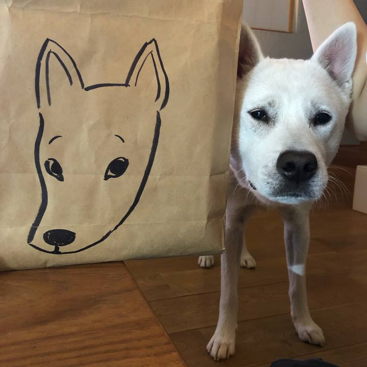 Cdfbff43 f402 41ff a39d 7928481891e7 1542252860425