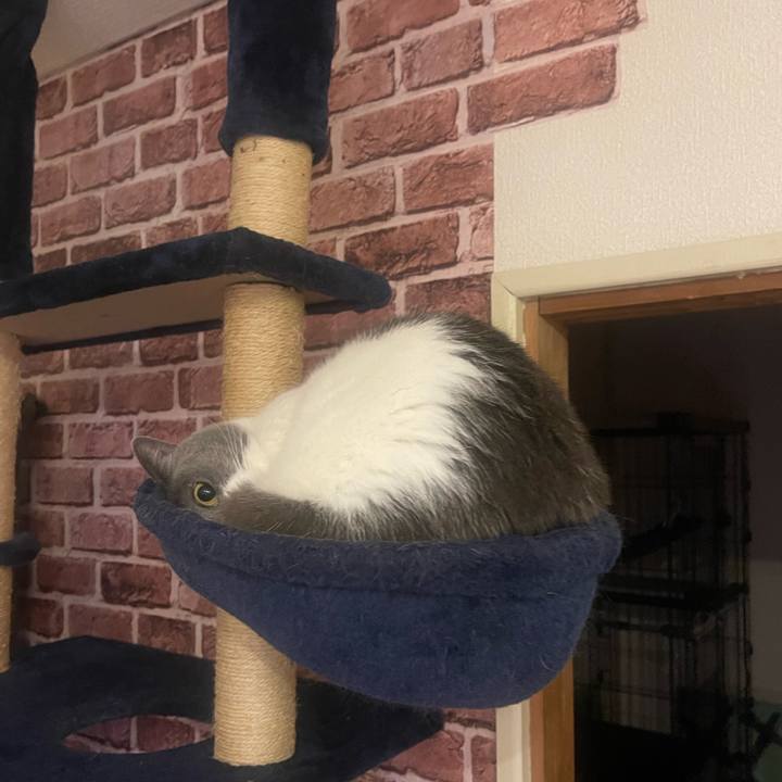 Cdfc1955 5b29 41db bad0 92760da0708f 1702655697996