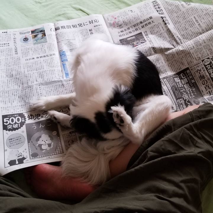 Cdfc4604 3228 4f97 93bf c30b6a8d53c2 1567918103574