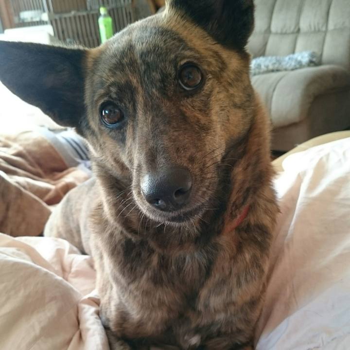 Cdfc4d04 148c 49f6 8f89 89f8b1fd5b31 1509870331406