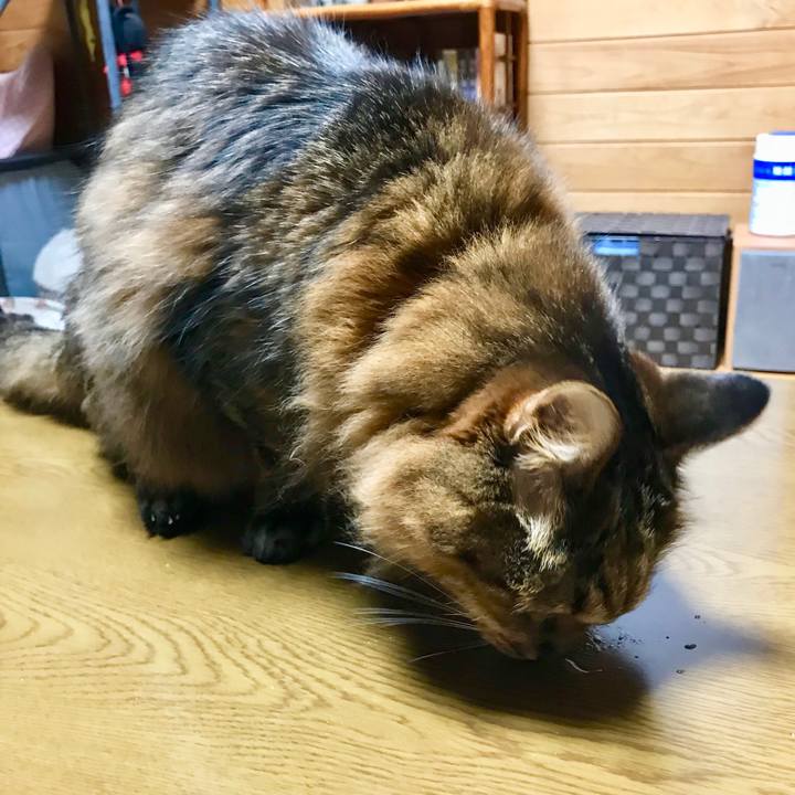 Cdfc5f38 c6fd 4d97 95b1 ae0ed8f51605 1512648080909