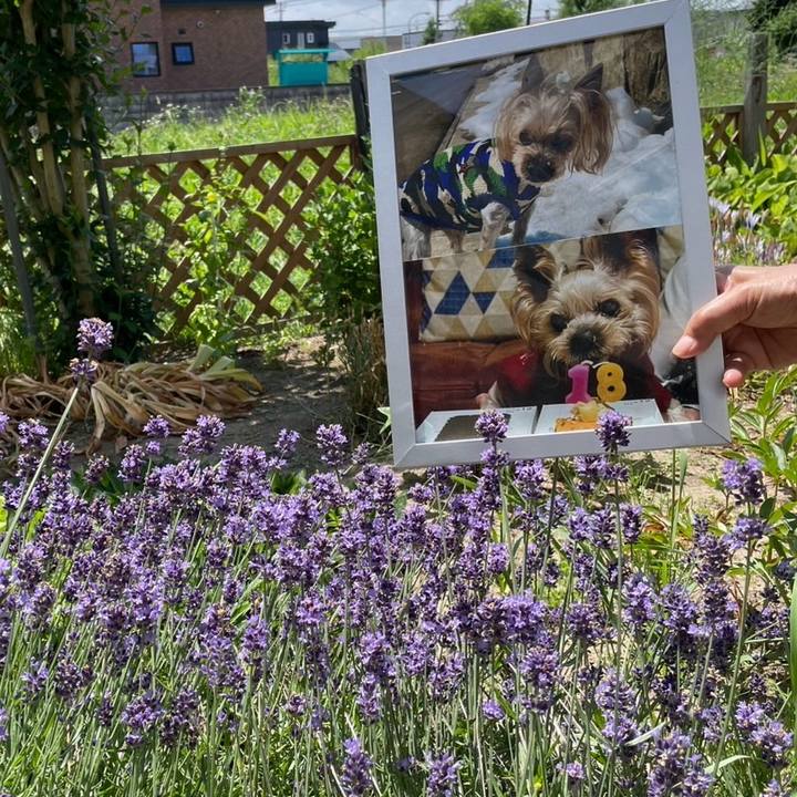 Cdfcad84 2178 4b1b 8ae5 d866f61e9b27 1751971116920