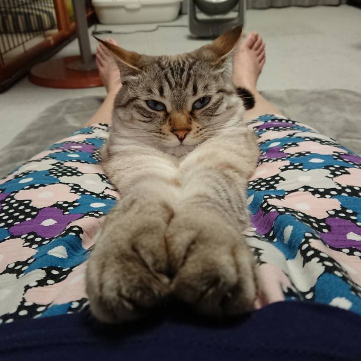 Cdfcaf90 699d 4e4e a499 daa608143acb 1556976510117