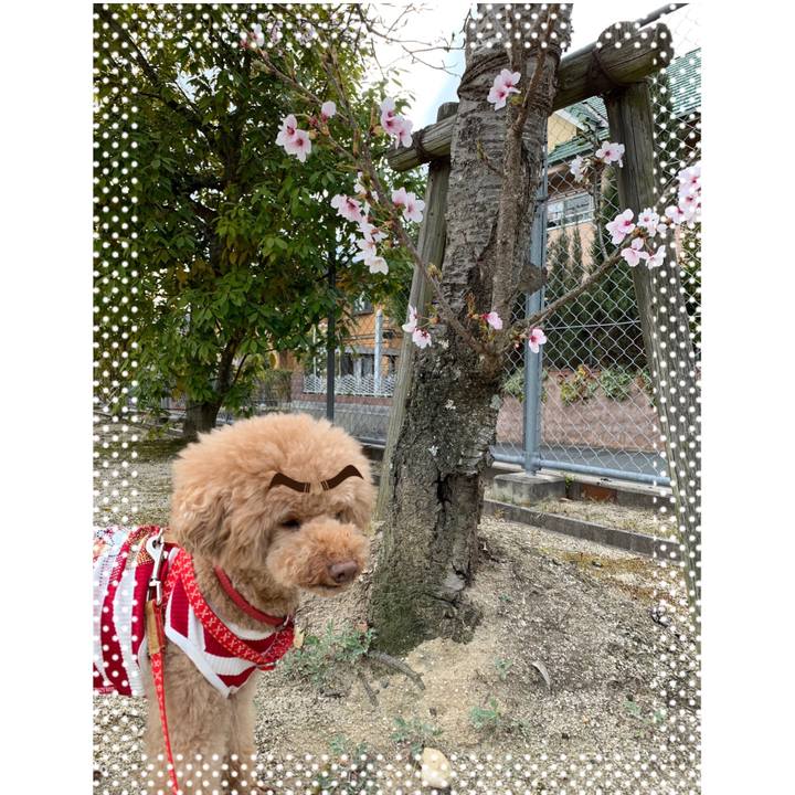 Cdfcc2f3 754d 4a3d 81c8 1ad954e046f2 1554805983232