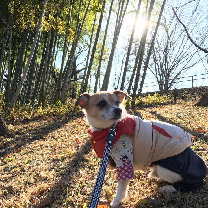 Cdfcd91b f816 45f6 85c3 16cc9586f5b9 1578543644739