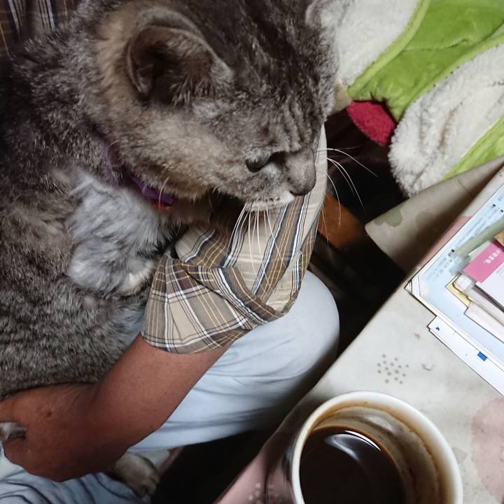 Cdfcde88 4910 4afa a0a0 ebda261be54e 1592077539876