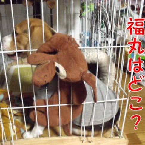 Cdfcebbb fac8 4b42 8bbf 17e87c4b9e17 1718927875546