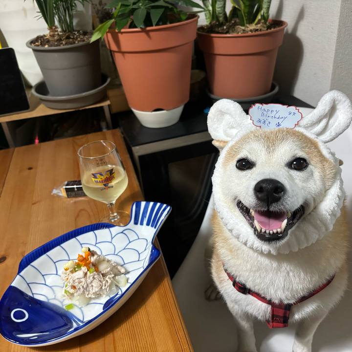 Cdfd23bf edcc 4133 88bc 4840680828a5 1728794506253