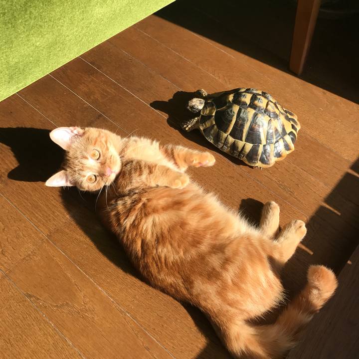 Cdfd2f7e 6443 4427 ac46 129f876976ed 1509001164296