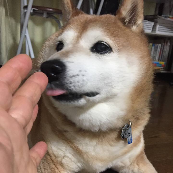 Cdfd37d0 55c3 494e bff3 2cc53969d457 1553437772777