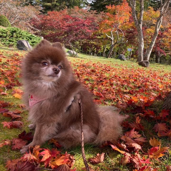 Cdfd4cea 077b 476d aee5 bb57e2ef5a4d 1666411692717