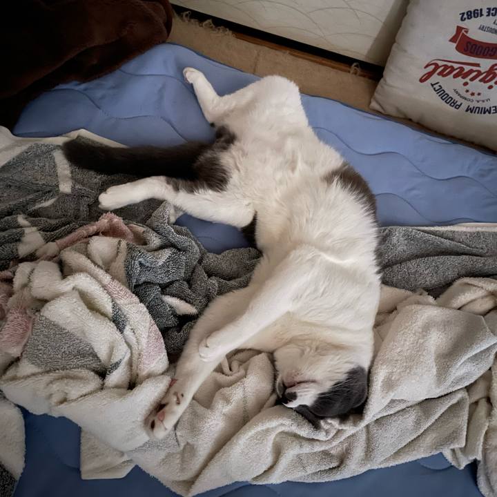 Cdfd7351 ae94 4499 9f58 5d4f5a67cf50 1660428315836